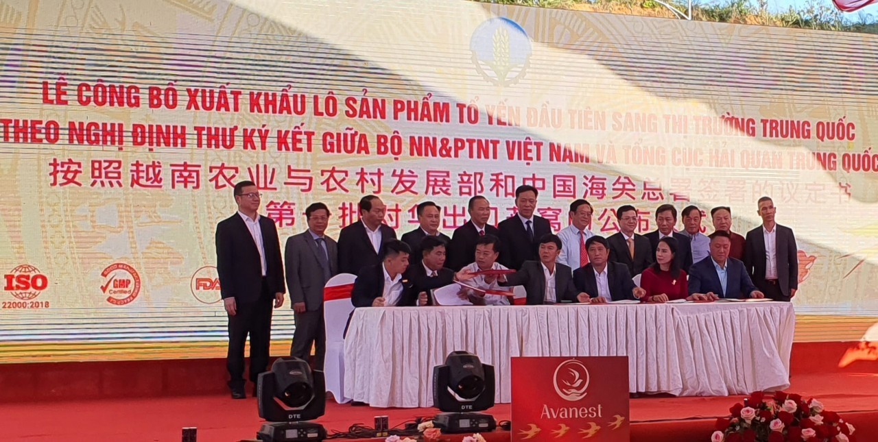 Tổ yến Việt Nam lần đầu tiên xuất khẩu sang Trung Quốc Tổ yến Việt Nam lần đầu tiên xuất khẩu sang Trung Quốc