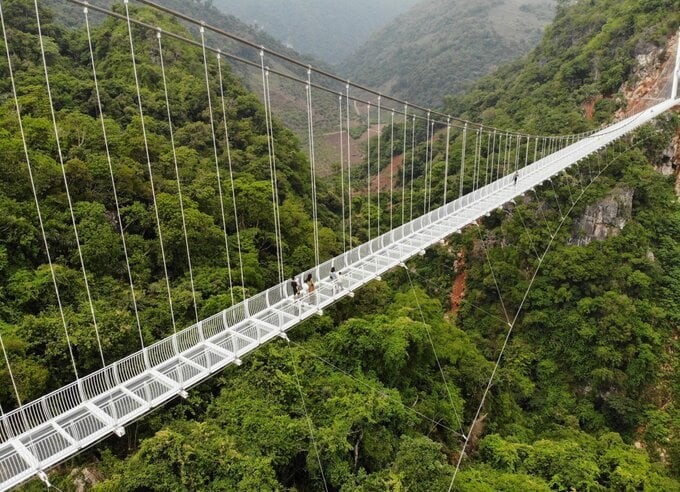 Bridges Article Bridges Article