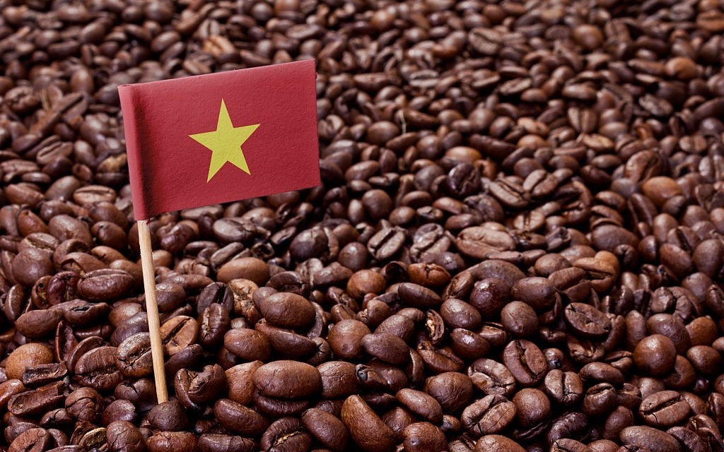 Thị trường nhập khẩu cà phê lớn nhất của Việt Nam là EU