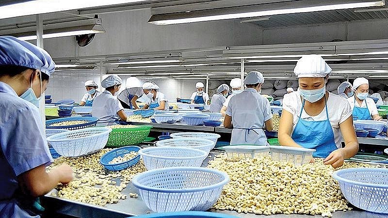 Promote Vietnamese Agricultural Products in Middle East-North Africa Region Promoting Vietnamese Agricultural Products in Middle East-North Africa Region
