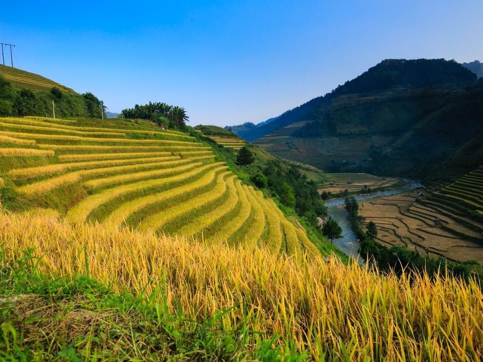 Vietnam Voted One Of The Perfect Destinations In 2024 Vietnam Voted One Of The Perfect Destinations In 2024