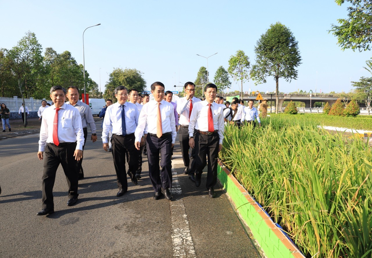 Hậu Giang: Khai mạc triển lãm “Con đường lúa gạo” tuyến kênh Xáng Xà No huyền thoại Hậu Giang: Khai mạc triển lãm “Con đường lúa gạo” tuyến kênh Xáng Xà No huyền thoại