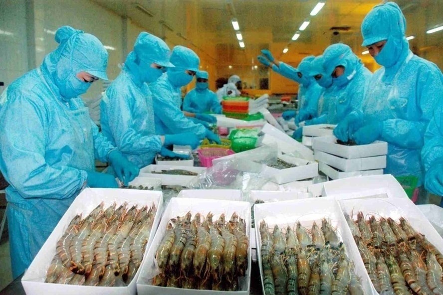 Clam Export Industry to Reach New Heights in 2024