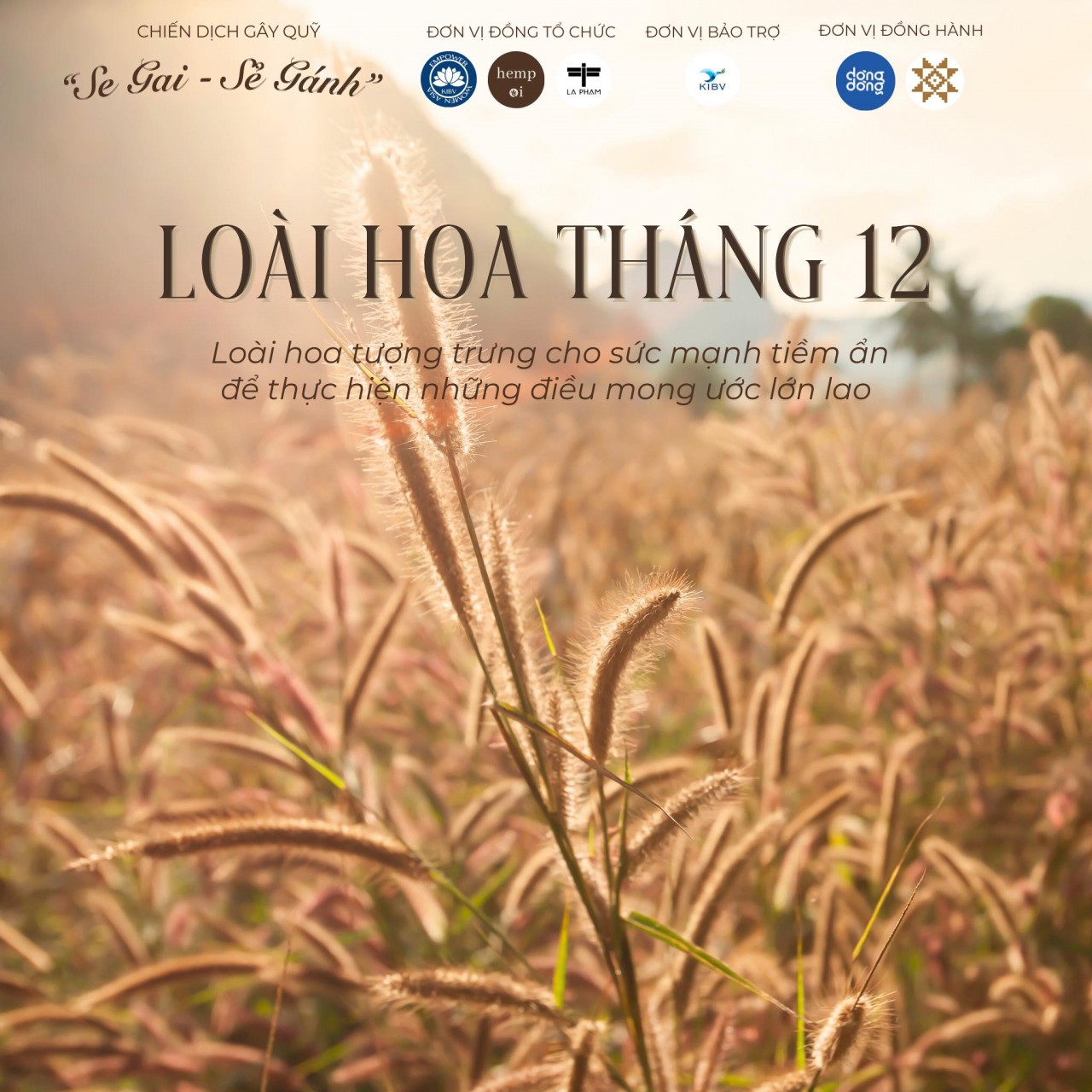 Empower Women Asia và hành trình san sẻ gánh nặng cùng phụ nữ vùng cao Empower Women Asia và hành trình san sẻ gánh nặng cùng phụ nữ vùng cao
