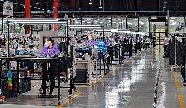 Workers of Viet Vuong 3 company in Ben Tre province (Photo: VNA) Workers of Viet Vuong 3 company in Ben Tre province (Photo: VNA)