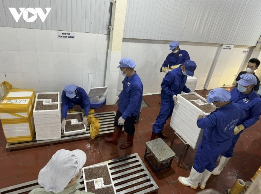 Photo: VOV Photo: VOV