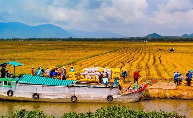 Vietnam Agricultural Products Introduced To Algeria Vietnam Agricultural Products Introduced To Algeria