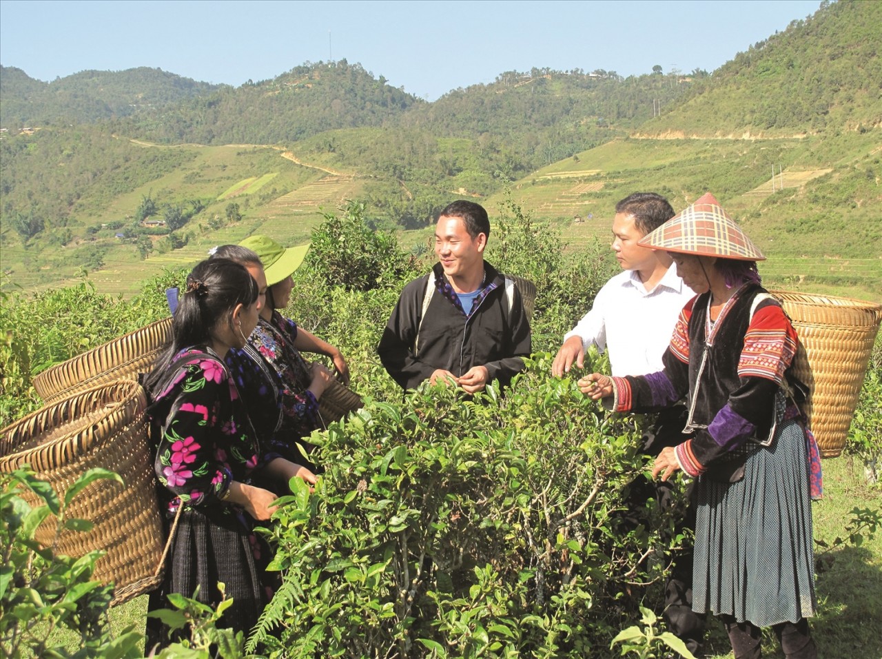 (Ảnh minh họa) (Ảnh minh họa)