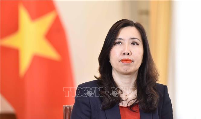 Thống nhất cao trong nhận thức, hành động triển khai công tác đối ngoại Chú thích ảnh