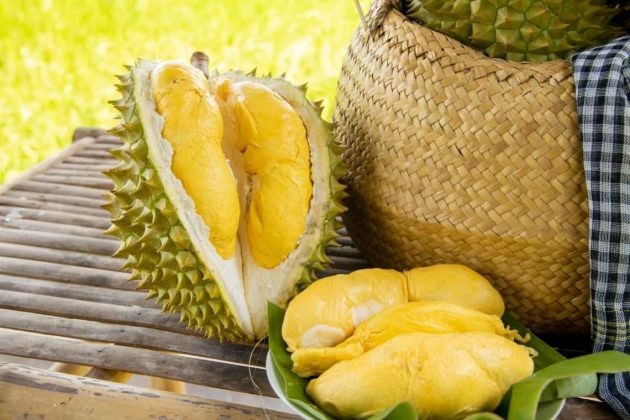 Hai tháng cuối năm, Việt Nam có thể thu về 200-400 triệu USD từ xuất khẩu sầu riêng. (Nguồn: VGP) Hai tháng cuối năm, Việt Nam có thể thu về 200-400 triệu USD từ xuất khẩu sầu riêng. (Nguồn: VGP)