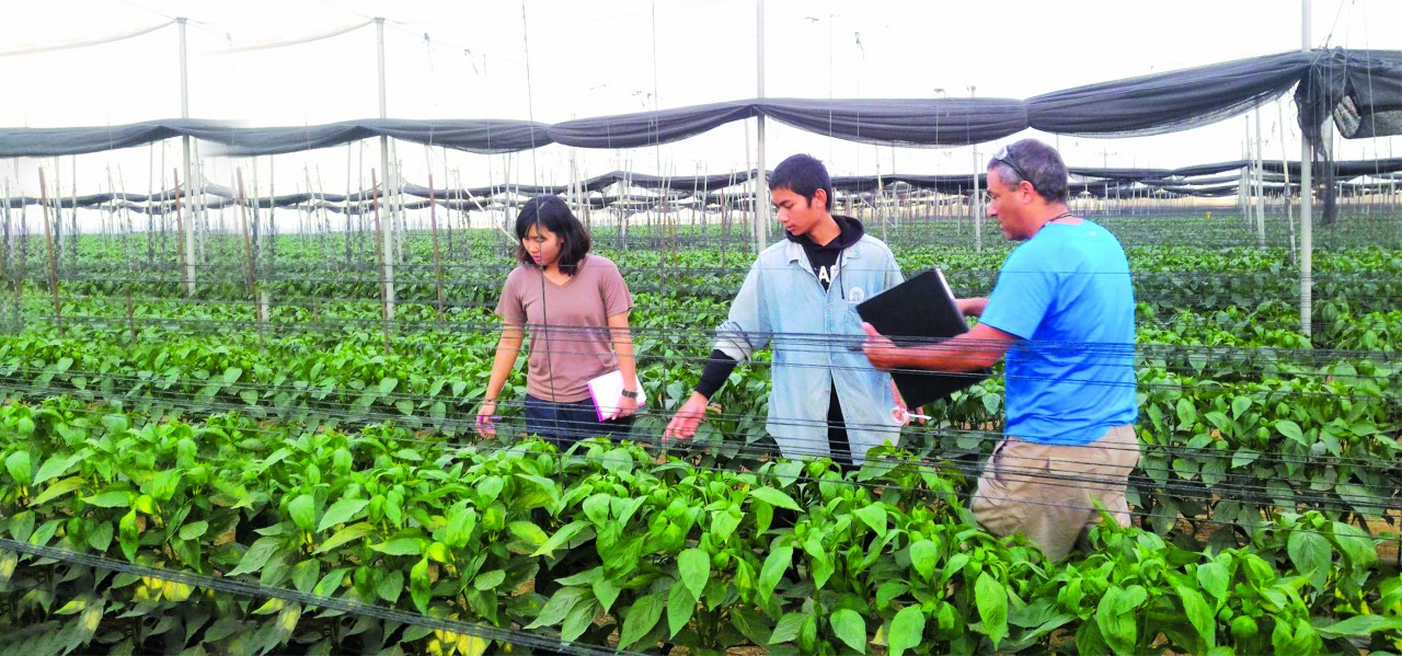 Tu nghiệp sinh Việt Nam trong khóa đào tạo nông nghiệp ở Arava. Tu nghiệp sinh Việt Nam trong khóa đào tạo nông nghiệp ở Arava.