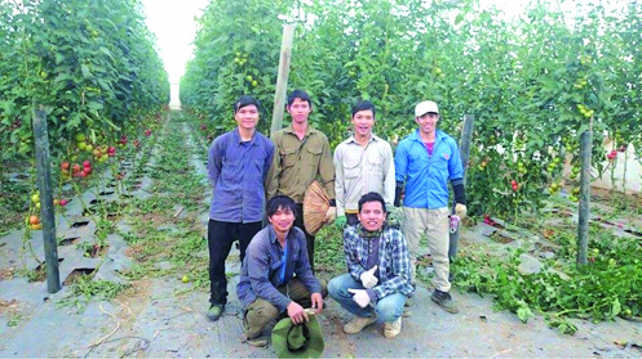 Hoàng Đình Lập (thứ 2 từ trái qua) cùng các bạn tu nghiệp sinh Việt Nam trong khóa đào tạo nông nghiệp ở Arava. Hoàng Đình Lập (thứ 2 từ trái qua) cùng các bạn tu nghiệp sinh Việt Nam trong khóa đào tạo nông nghiệp ở Arava.