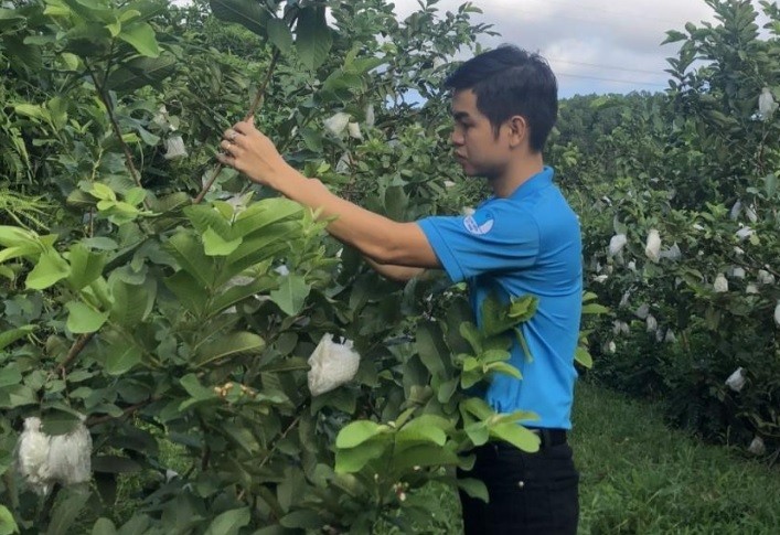 Đồng Việt Huân trồng một số cây ăn quả, áp dụng hệ thống tưới thông minh trong vườn của gia đình. Đồng Việt Huân trồng một số cây ăn quả, áp dụng hệ thống tưới thông minh trong vườn của gia đình.