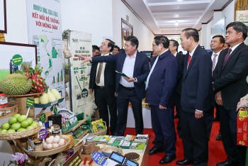 Năm 2023: Nông nghiệp vượt "cơn gió ngược" thu về trên 53 tỷ USD