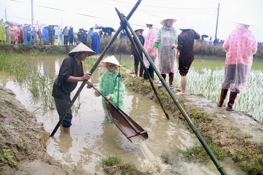 International Tourists Experience Working On The Rice Field In Hoi An International Tourists Experience Working On Hoi An Rice Fields