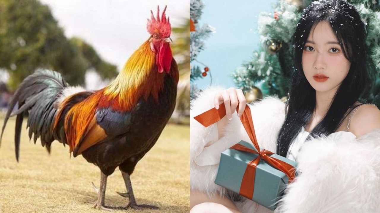 Tử vi tháng 12/2023 12 con giáp âm lịch: Tý vượng phát tháng cuối năm Tử vi tháng 12/2023 12 con giáp âm lịch: Tý vượng phát tháng cuối năm