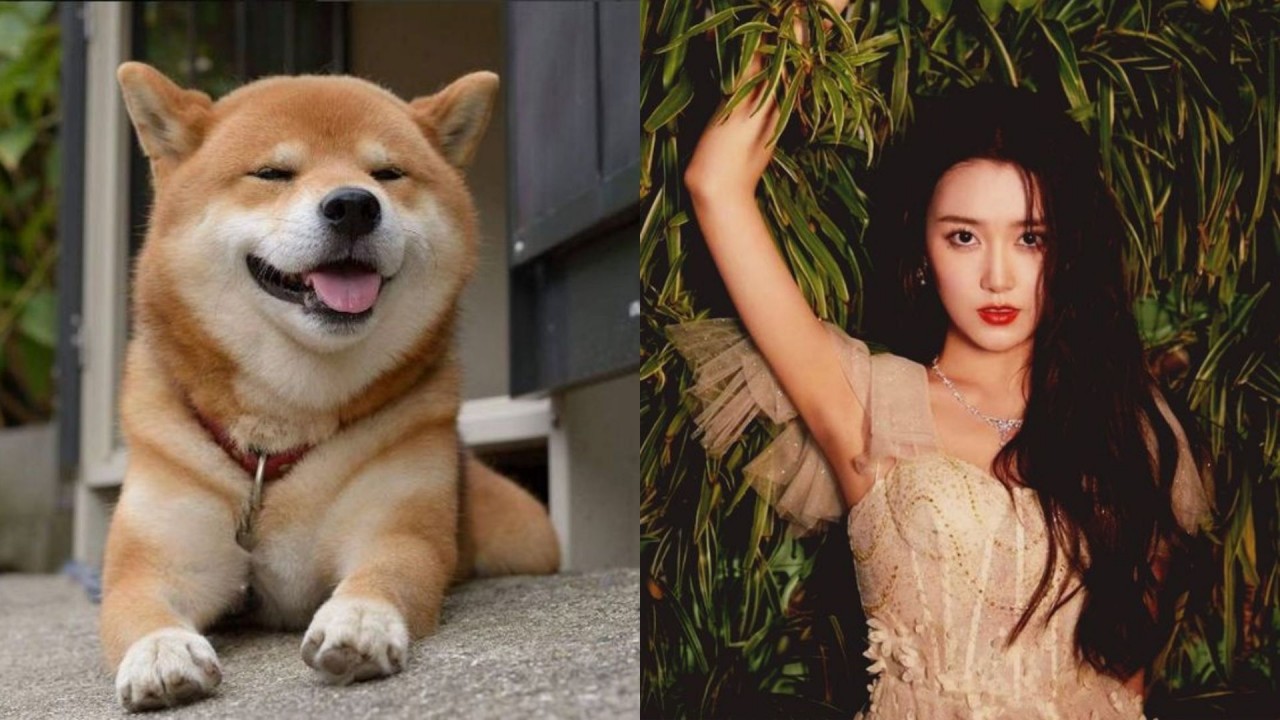 Tử vi tháng 12/2023 12 con giáp âm lịch: Tý vượng phát tháng cuối năm Tử vi tháng 12/2023 12 con giáp âm lịch: Tý vượng phát tháng cuối năm