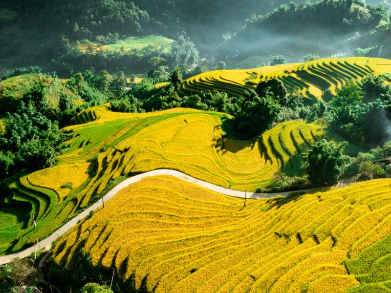 Nền tảng du lịch trực tuyến Tripadvisor vinh danh vịnh Hạ Long và Sa Pa Nền tảng du lịch trực tuyến Tripadvisor vinh danh vịnh Hạ Long và Sa Pa