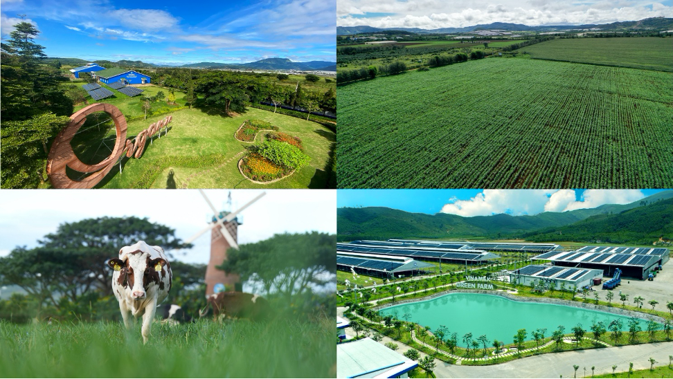 Nhiều giải pháp giúp giảm phát thải khí nhà kính được Vinamilk ứng dụng tại các trang trại. Nhiều giải pháp giúp giảm phát thải khí nhà kính được Vinamilk ứng dụng tại các trang trại.