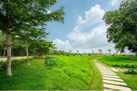 Cây xanh là hàng rào sinh học tự nhiên giúp hạn chế các tác động đến hệ sinh thái và góp phần điều hòa khí hậu chung cho cả khu vực lân cận. Cây xanh là hàng rào sinh học tự nhiên giúp hạn chế các tác động đến hệ sinh thái và góp phần điều hòa khí hậu chung cho cả khu vực lân cận.