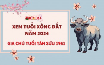 Tuổi xông đất năm 2024 cho gia chủ tuổi Tân Sửu 1961