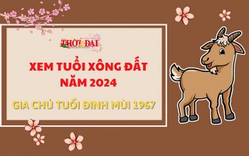 Tuổi xông đất năm 2024 cho gia chủ tuổi Đinh Mùi 1967