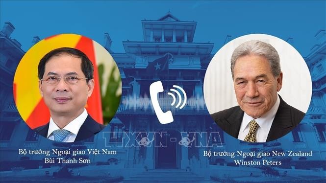 Việt Nam-New Zealand nghiên cứu hợp tác ứng phó biến đổi khí hậu, chuyển đổi số Việt Nam-New Zealand nghiên cứu hợp tác ứng phó biến đổi khí hậu, chuyển đổi số