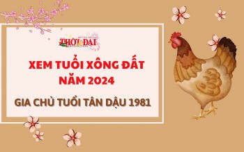 Tuổi xông đất năm 2024 cho gia chủ tuổi Tân Dậu 1981