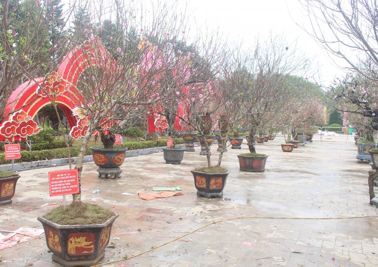 Trải nghiệm không gian văn hóa tại lễ hội hoa đào xứ Lạng 202 Trải nghiệm không gian văn hóa tại lễ hội hoa đào xứ Lạng 202