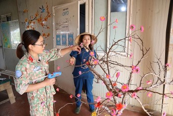 Mai, đào Việt khoe sắc trên nhánh cây rừng châu Phi
