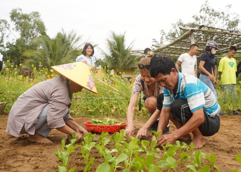 Du khách tập cấy cải cùng người dân làng Trà Quế. (Ảnh: hoianrt.vn) Du khách tập cấy cải cùng người dân làng Trà Quế. (Ảnh: hoianrt.vn)