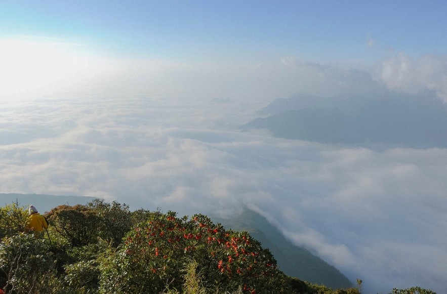 Witness The Dreamy Milky Way In Cu Nhu San Mountain Peak Witness The Dreamy Milky Way On Cu Nhu San Mountain Peak