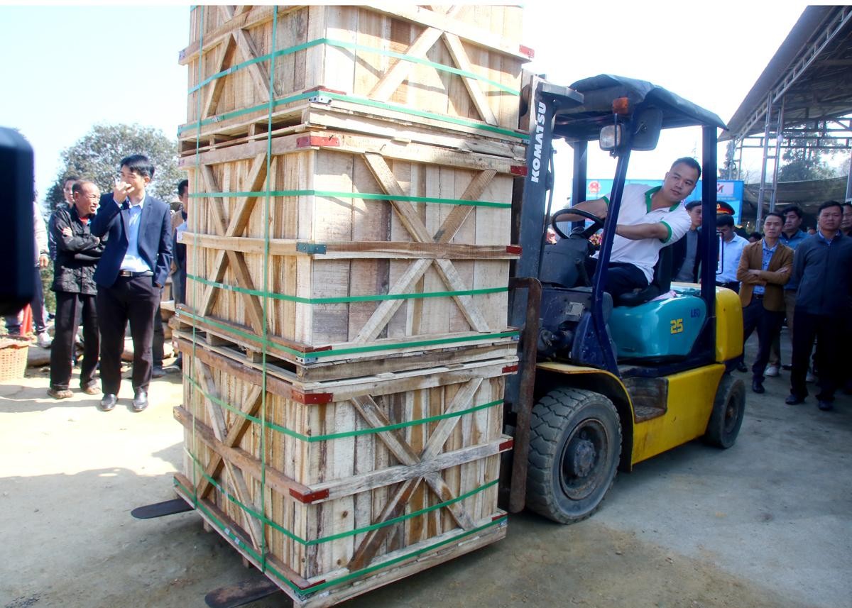 Container củ cải muối đầu tiên của năm 2024 sang Nhật Bản Container củ cải muối đầu tiên của năm 2024 sang Nhật Bản