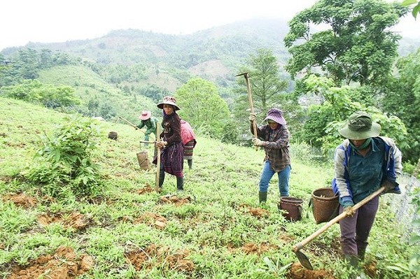 Đồng bào dân tộc Hướng Hóa (Quảng Trị) khai thác tiềm năng đất đai, phát triển sản xuất. Ảnh: cirum.org Đồng bào dân tộc Hướng Hóa (Quảng Trị) khai thác tiềm năng đất đai, phát triển sản xuất. Ảnh: cirum.org