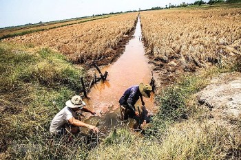 Xâm nhập mặn tại Đồng bằng sông Cửu Long tiếp tục tăng trong mùa khô 2023-2024