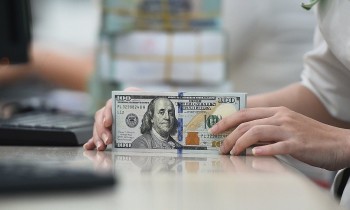 Tỷ giá VND/USD có thể tăng 1,5% trong năm nay