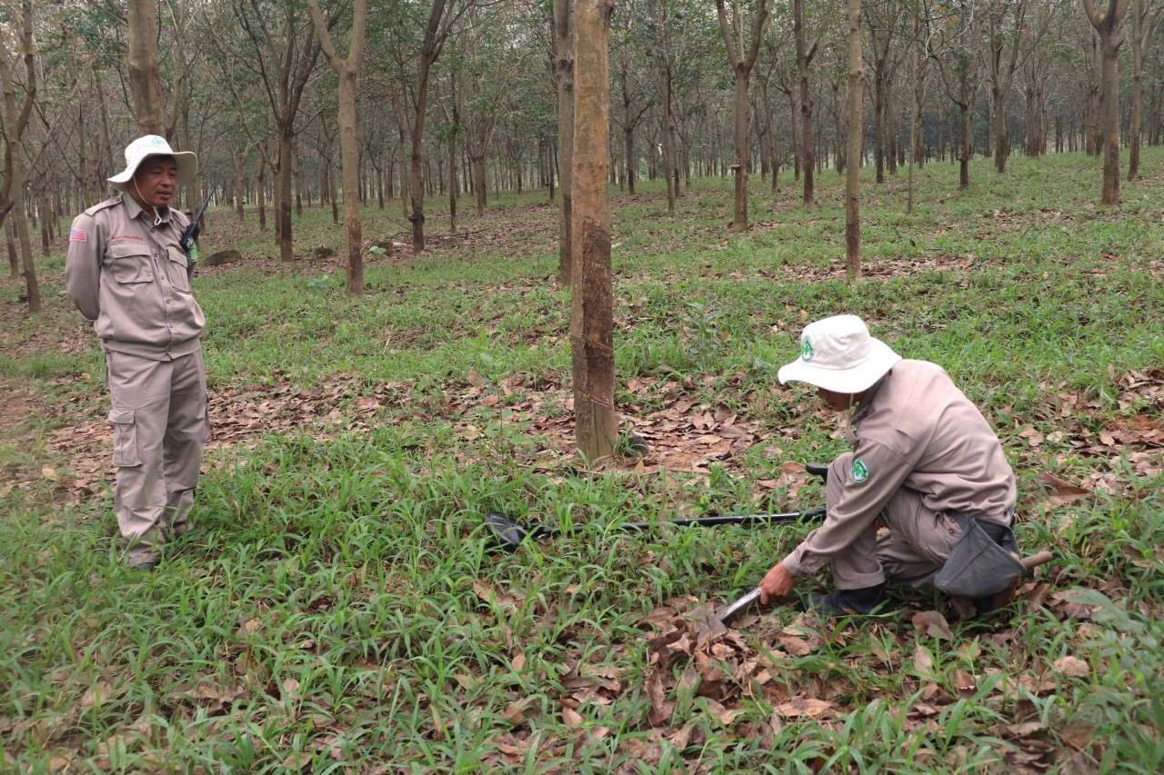 NPA tập huấn bồi dưỡng cho toàn bộ các nhân viên hiện trường NPA tập huấn bồi dưỡng cho toàn bộ các nhân viên hiện trường