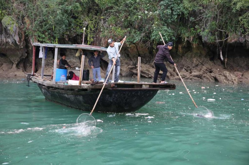 Trung tâm bảo tồn 2 (Ban Quản lý Vịnh Hạ Long) tăng cường lực lượng, phương tiện để thu gom rác, phao xốp trên Vịnh (Ảnh: Quangninh.gov.vn) Trung tâm bảo tồn 2 (Ban Quản lý Vịnh Hạ Long) tăng cường lực lượng, phương tiện để thu gom rác, phao xốp trên Vịnh (Ảnh: Quangninh.gov.vn)