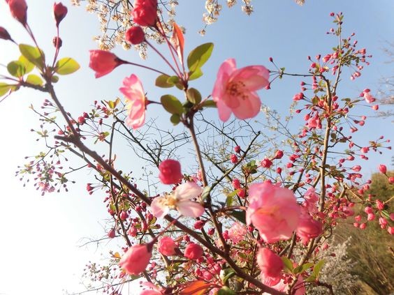 Tử vi hôm nay 12 cung hoàng đạo 17/3/2024: Kim Ngưu đạt được thành công ngoài mong đợi Tử vi hôm nay 12 cung hoàng đạo 17/3/2024: Kim Ngưu đạt được thành công ngoài mong đợi