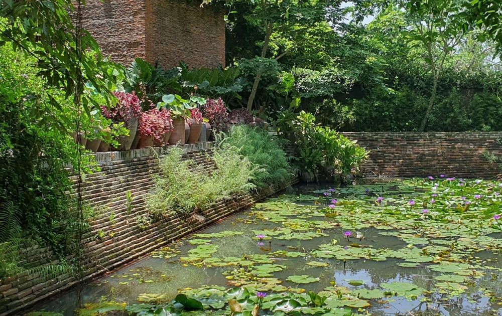 Lotus pond in the Dao Mau Museum and Temple (Photo: Bao tang Dao Mau/Facebook) Lotus pond in the Dao Mau Museum and Temple (Photo: Bao tang Dao Mau/Facebook)