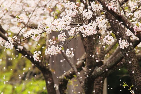 Tử vi hôm nay 12 cung hoàng đạo 24/3/2024: Ngày vô cùng may mắn của Bạch Dương Tử vi hôm nay 12 cung hoàng đạo 24/3/2024: Ngày vô cùng may mắn của Bạch Dương