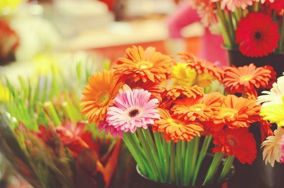 Tử vi hôm nay 12 cung hoàng đạo 22/3/2024: Kim Ngưu tìm thấy con đường làm ăn hiếm có Tử vi hôm nay 12 cung hoàng đạo 22/3/2024: Kim Ngưu tìm thấy con đường làm ăn hiếm có