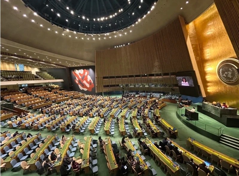 The United Nations Declares 2025 As The 