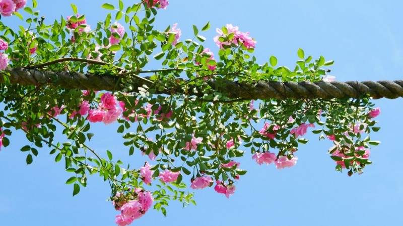Tử vi hôm nay 12 cung hoàng đạo 10/4/2024: Ma Kết thành công, truyền cảm hứng cho nhiều người Tử vi hôm nay 12 cung hoàng đạo 10/4/2024: Ma Kết thành công, truyền cảm hứng cho nhiều người