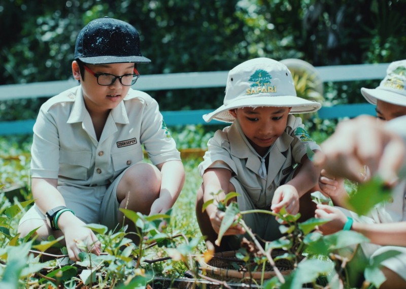 Độc đáo “bản giao hưởng hoang dã” tại Vinpearl Safari Phú Quốc Độc đáo “bản giao hưởng hoang dã” tại Vinpearl Safari Phú Quốc