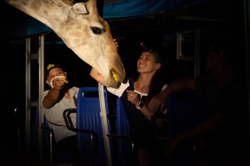 Độc đáo “bản giao hưởng hoang dã” tại Vinpearl Safari Phú Quốc Độc đáo “bản giao hưởng hoang dã” tại Vinpearl Safari Phú Quốc