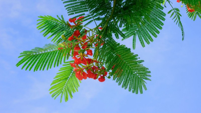 Tử vi hôm nay 12 cung hoàng đạo 20/4/2024: Song Ngư tìm ra cơ hội làm ăn Tử vi hôm nay 12 cung hoàng đạo 20/4/2024: Song Ngư tìm ra cơ hội làm ăn