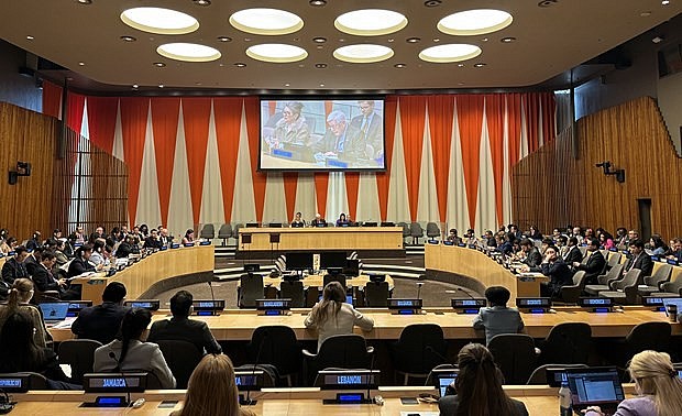 ECOSOC meeting (Photo: VNA) ECOSOC meeting (Photo: VNA)