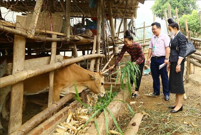 Quan tâm về quyền con người một cách thực chất nhất Quan tâm về quyền con người một cách thực chất nhất
