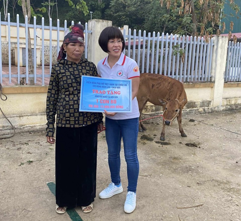 Diễn đàn Phụ nữ Việt Nam tại Châu Âu trao bò sinh sản cho 12 hộ nghèo ở tỉnh Điện Biên Diễn đàn Phụ nữ Việt Nam tại Châu Âu trao bò sinh sản cho 12 hộ nghèo ở tỉnh Điện Biên